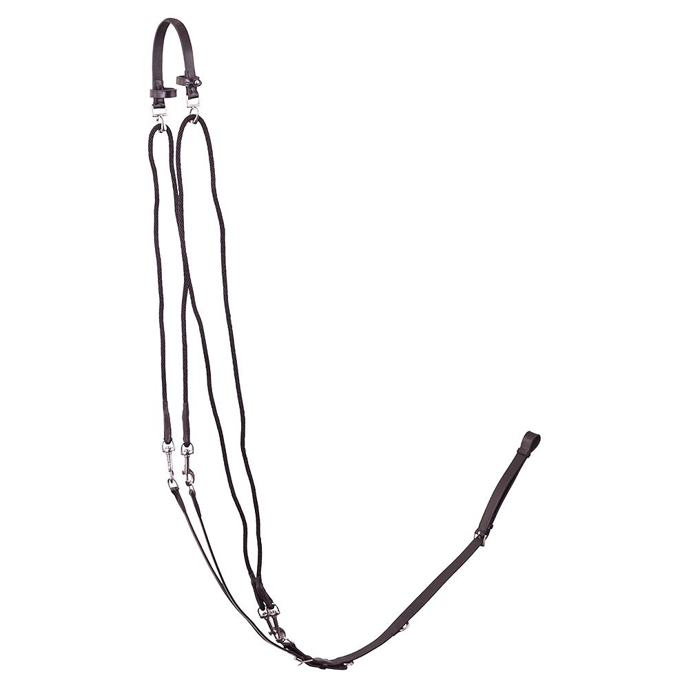 Premiere gogue bijzetteugel